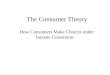 The Consumer Theory How Consumers Make Choices under Income Constraints