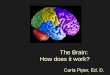 The Brain: How does it work? Carla Piper, Ed. D