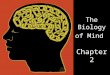The Biology of Mind Chapter 2. Parts of a Neuron Dendrites: Branching extensions at the cell body. Receive messages from other neurons. Cell Body: Life