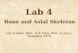 Lab 4 Bone and Axial Skeleton J.R. Schiller, PhD., G.R. Pitts, PhD., & Amy L. Thompson, Ph.D