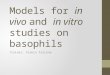 Models for in vivo and in vitro studies on basophils Trainer: Franco Falcone