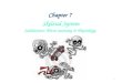1 Chapter 7 Skeletal System Subdivision: Micro-anatomy & Physiology