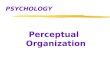 PSYCHOLOGY Perceptual Organization. Perceptual Illusions z