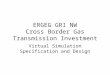 ERGEG GRI NW Cross Border Gas Transmission Investment Virtual Simulation Specification and Design