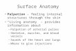 Surface Anatomy Palpation – feeling internal structures through the skin “Living anatomy” – provides information about –Palpation of arterial pulses –Skeleton,