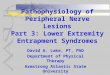Pathophysiology of Peripheral Nerve Lesions Part 3: Lower Extremity Entrapment Syndromes David A. Lake, PT, PhD Department of Physical Therapy Armstrong