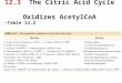 12.3 The Citric Acid Cycle Oxidizes AcetylCoA Table 12.2