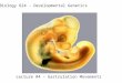 Biology 624 - Developmental Genetics Lecture #4 – Gastrulation Movements