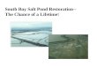 South Bay Salt Pond Restoration-- The Chance of a Lifetime!