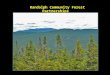 Randolph Community Forest Partnerships. R C F & Randolph Valley