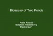 Bioassay of Two Ponds Katie Kraska Stephen Hesterberg Matt Brown
