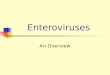 Enteroviruses An Overview. Enteroviruses Enteroviruses are a genus of the picornavirus family which replicate mainly in the gut. Single stranded naked
