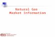 Natural Gas Market Information. Scope of Presentation Natural gas information –market monitoring –support for market transactions Information models –architecture
