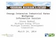 Energy-Intensive Industrial Rates Workgroup Information Session Steve Bakkal Michigan Energy Office Michigan Economic Development Corporation March 24,