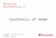 Synthesis of Heme Copyright © 1999-2008 by Joyce J. Diwan. All rights reserved. Molecular Biochemistry II