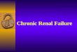 Chronic Renal Failure.  General introduction  Etiology  Pathogenesis  Clinical findings  Complications  Diagnosis &D.D.  Treatment Chronic Renal