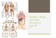 Human Body System Project Isaac Kim P.4. Table of Contents  Digestive System  Circulatory System  Respiratory System  Excretory System  Immune System