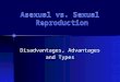 Asexual vs. Sexual Reproduction Disadvantages, Advantages and Types