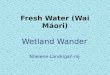 Fresh Water (Wai Mori) Wetland Wander Noelene Landrigan rsj