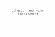 Cohesion and Norm Enforcement. Cohesion = Norm Enforcement EGSocial Capital EGCollective Efficacy