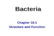 Bacteria Chapter 18.1 Structure and Function. 1. Prokaryotes  microorganisms, lack nucleus, single cell a. Monera  old kingdom b. divided into 2 domains: