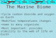 The Marine Biome Cycle carbon dioxide and oxygen on Earth Modifies temperatures changes Home to many organisms Most important: provides stability to the