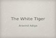 The White TIger Aravind Adiga. Corruption in India How corrupt is the Indian government? Recent corruption scandals What people are doing about it Anna