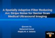 A Spatially Adaptive Filter Reducing Arc Stripe Noise for Sector Scan Medical Ultrasound Imaging Qianren Xu Mohamed Kamel Magdy M. A. Salama