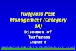 MSU Extension Pesticide Education Turfgrass Pest Management (Category 3A) Diseases of Turfgrass Chapter 8