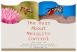 JODI SCOTT, MS EDUCATION AND PUBLIC RELATIONS ANASTASIA MOSQUITO CONTROL DISTRICT ST. AUGUSTINE, FL The Buzz About Mosquito Control
