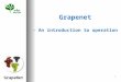 GrapeNet 1 Grapenet - An introduction to operation