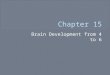 Brain Development from 4 to 6. Brain Development 4 to 6