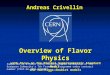 Andreas Crivellin Overview of Flavor Physics with focus on the Minimal Supersymmetric Standard Model and two-Higgs-doublet models Supported by a Marie