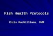 Fish Health Protocols Chris MacWilliams, DVM. Principles of Disinfection Disinfection: process that reduces or eliminates pathogenic microorganisms Cleaning