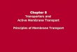 Chapter 8 Transporters and Active Membrane Transport Principles of Membrane Transport Chapter 8 Transporters and Active Membrane Transport Principles of