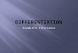 Gradient Functions.  New words: Differentiation, derivative  New notation:  New process: Differentiating a function  New knowledge: When and why to