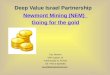 Deep Value Israel Partnership Newmont Mining (NEM) Going for the gold Guy Shaham DVIP Capital, LP 4 Steimatsky St. Tel Aviv Tel: +972-3-6037484 guy@deepvaluefund.com