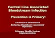 Central Line Associated Bloodstream Infection Prevention is Primary! Tennessee Collaborative Reducing Healthcare Associated Infections Erlanger Health