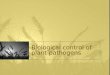 Biological control of plant pathogens. What is biological control? Relation to the biological control of insects –Suppression of insect populations by