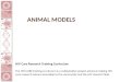 ANIMAL MODELS HIV Cure Research Training Curriculum The HIV CURE training curriculum is a collaborative project aimed at making HIV cure research science