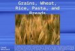 Grains, Wheat, Rice, Pasta, and Breads Carol Whitlock This workforce solution was funded by a grant awarded under the President’s High Growth Job Training
