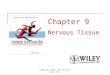 Copyright 2010, John Wiley & Sons, Inc. Chapter 9 Nervous Tissue