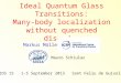 Ideal Quantum Glass Transitions: Many-body localization without quenched disorder TIDS 15 1-5 September 2013 Sant Feliu de Guixols Markus Müller Mauro