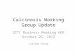 Calcinosis Working Group Update SCTC Business Meeting ACR October 26, 2013 Lorinda Chung