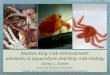 Alaskan king crab enhancement: advances in aquaculture and king crab ecology Ginny L. Eckert University of Alaska Fairbanks, Juneau Center School of Fisheries