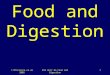 © NTScience.co.uk 2005KS3 Unit 8a Food and Digestion1 Food and Digestion