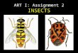 ART I: Assignment 2 INSECTS. What shapes do you see? What lines do you see? What patterns do you see? Are the insects symmetrical or asymmetrical?