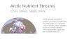 Arctic Nutrient Streams Chris, Oliver, Steph, Mick NSIDC greatly simplified cartoon of Arctic through-flow. On time scales of 7-10 years ~1Sv of Pacific