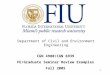 1 Department of Civil and Environment Engineering CGN 4980/CGN 6939 FE/Graduate Seminar Review Examples Fall 2005