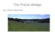 The Prairie Wedge By: James Martinsen. Introduction The Prairie Peninsula is a wedge of prairie that extends from western Iowa to western Indiana. Which